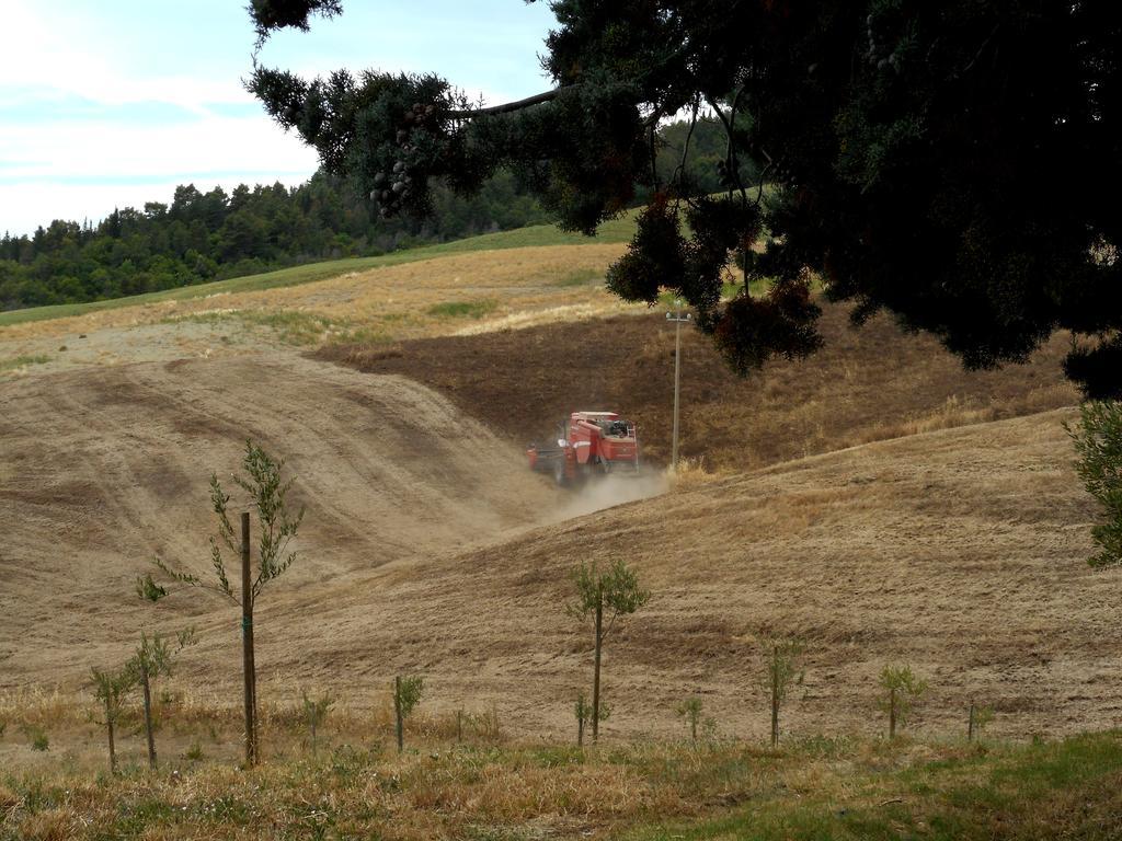 Agriturismo Santa Bruna Volterra Zewnętrze zdjęcie